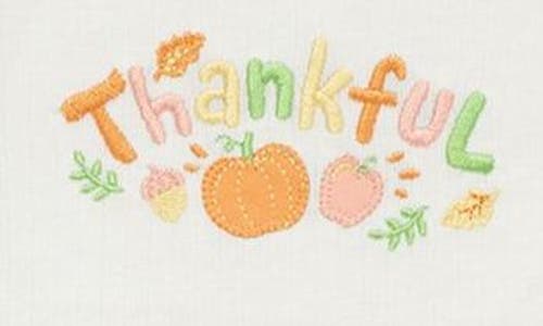 Little Me Thankful Bodysuit, Pants & Headband Set In Multi
