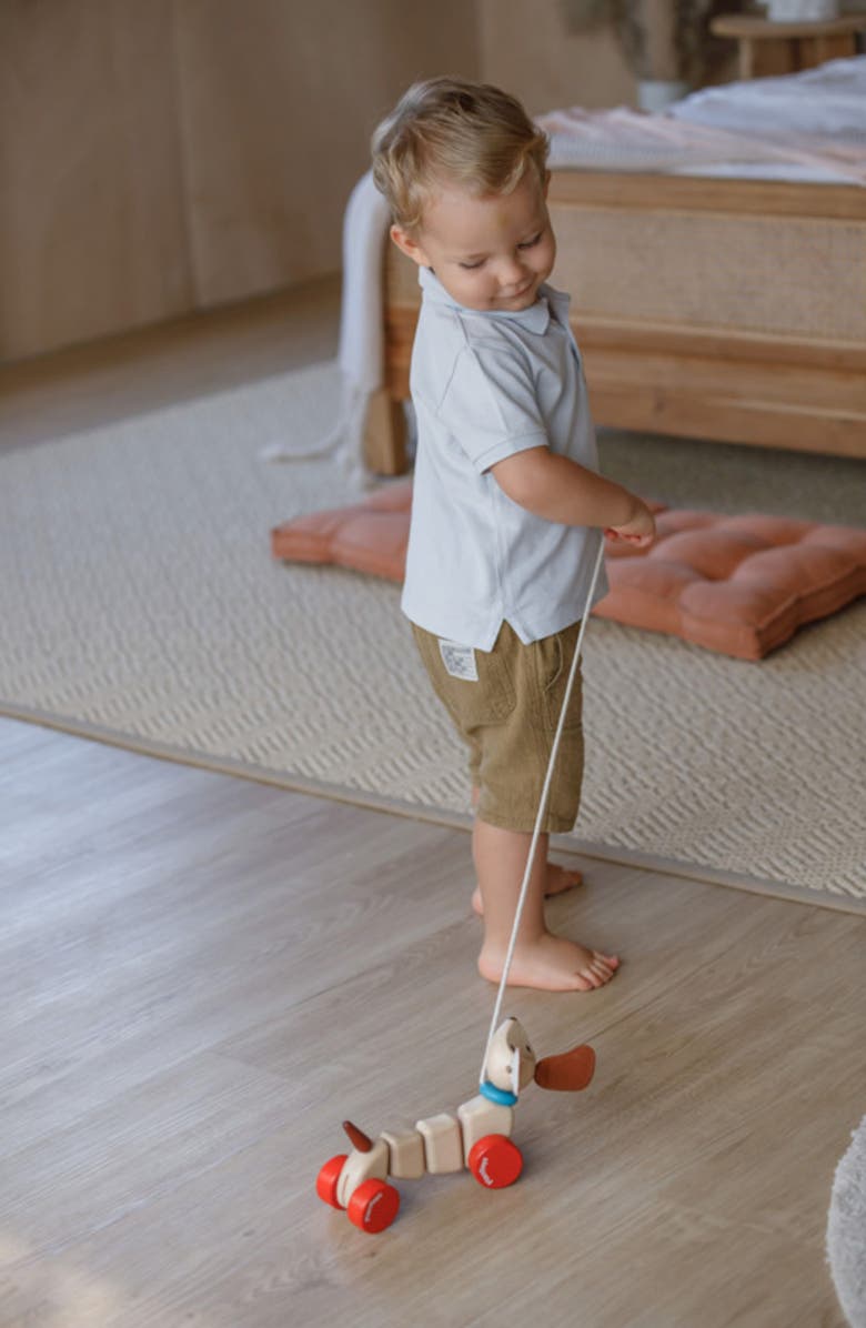 PlanToys<sup>®</sup> Happy Puppy Pull Along Toy, Alternate, color, Natural