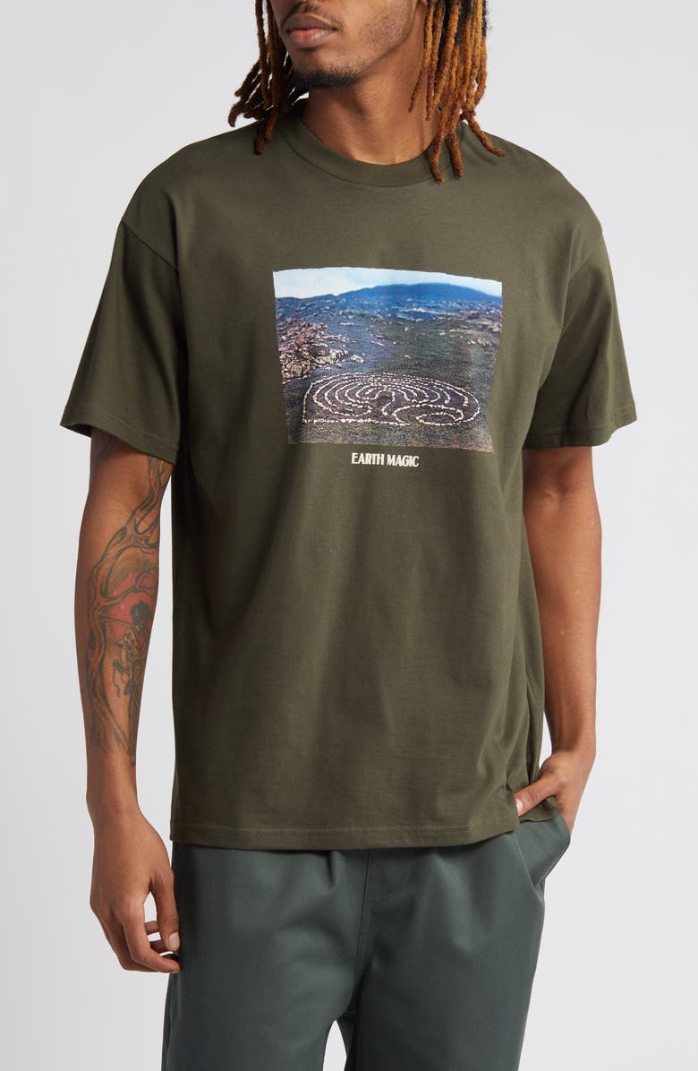 Carhartt Work In Progress Earth Magic Organic Cotton T-Shirt, Main, color, 