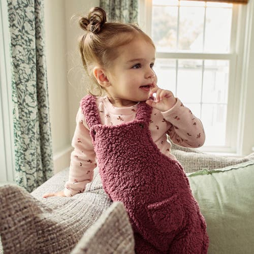 Modern Moments™ By Gerber Microplush Overall & Shirt Set In Dark Rose