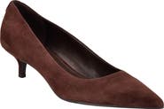 Calvin Klein Roxanna Pointed Toe Pump