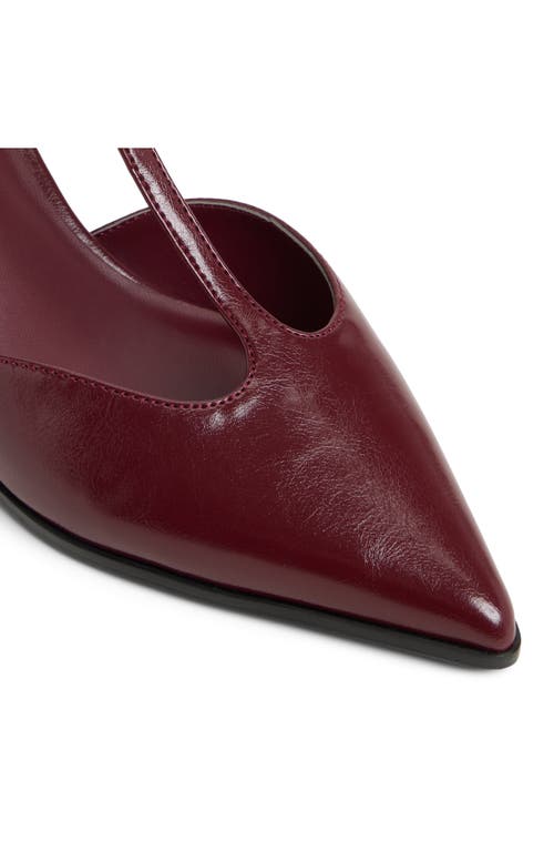 Call It Spring By Aldo Talaa Ankle Strap Pointed Toe Kitten Heel Pump In Burgundy