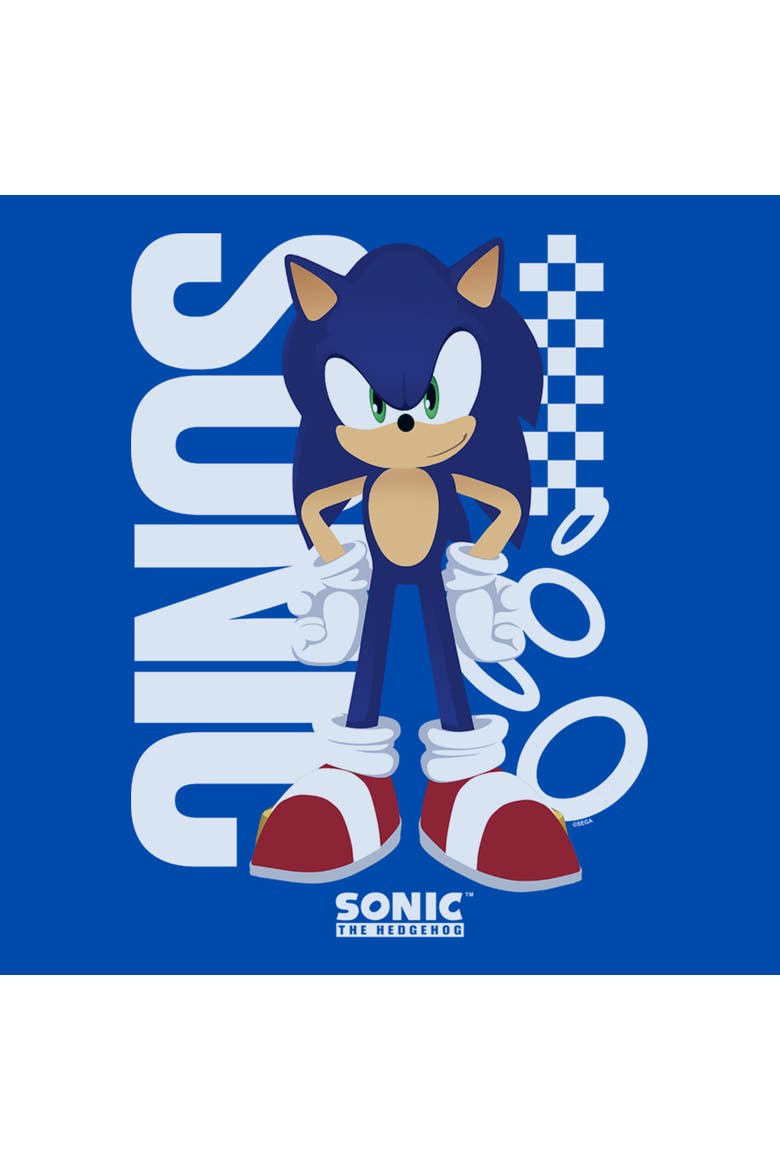 Boy's Sonic the Hedgehog Blue Blur Pose  Graphic T-Shirt, Alternate, color, Royal Blue
