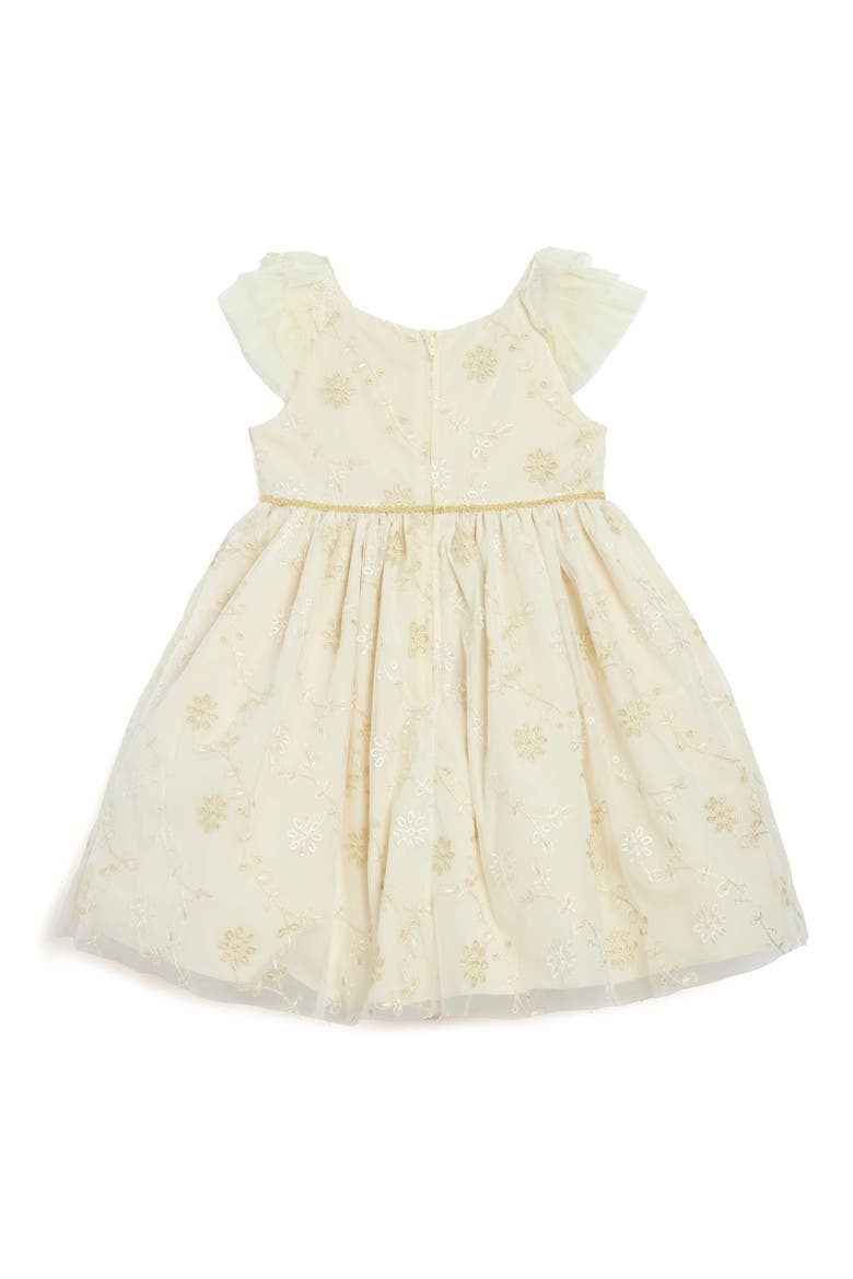 Kids' Sienna Embroidered Party Dress, Alternate, color, IVORY