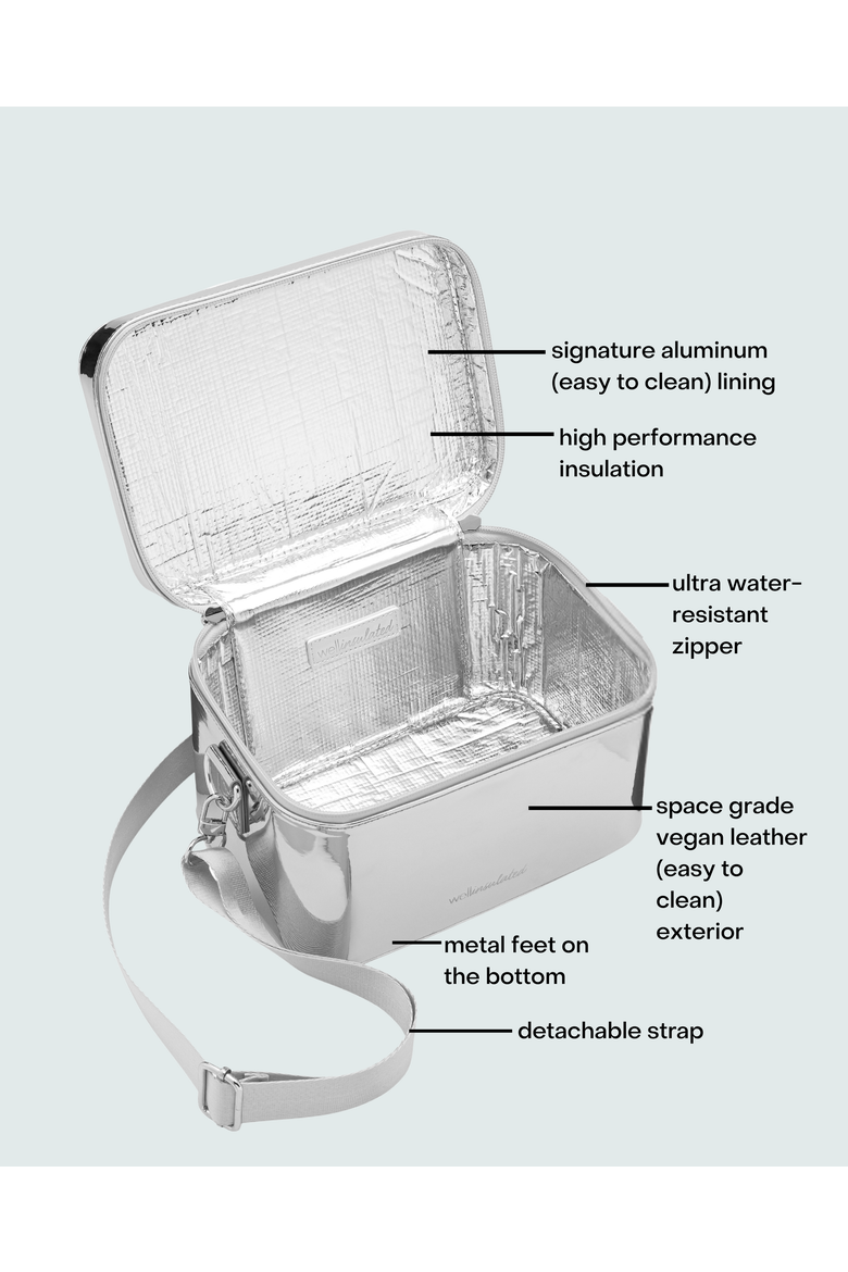 Performance Beauty Case + Strap, Alternate, color, Silver