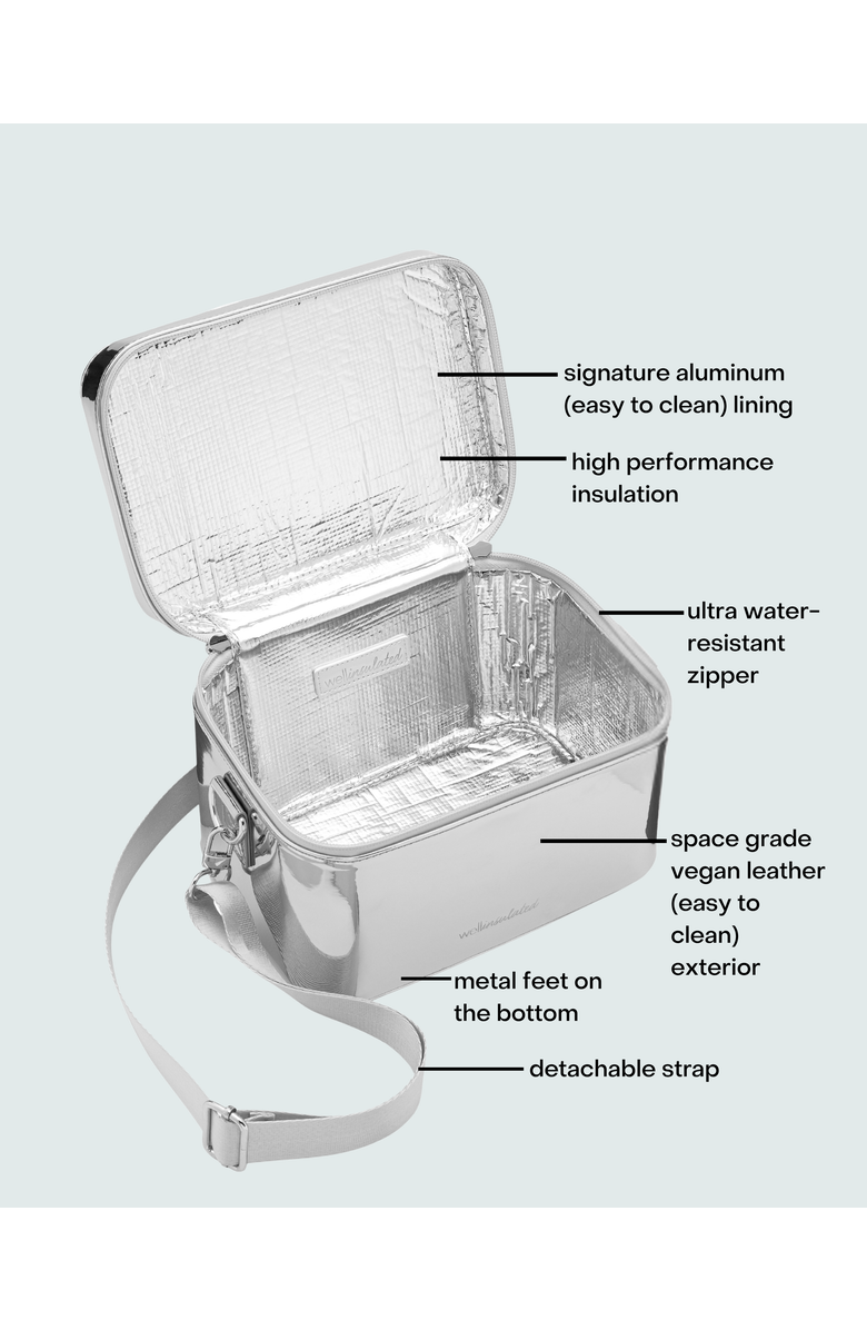 WELLinsulated Performance Beauty Case, Alternate, color, Silver