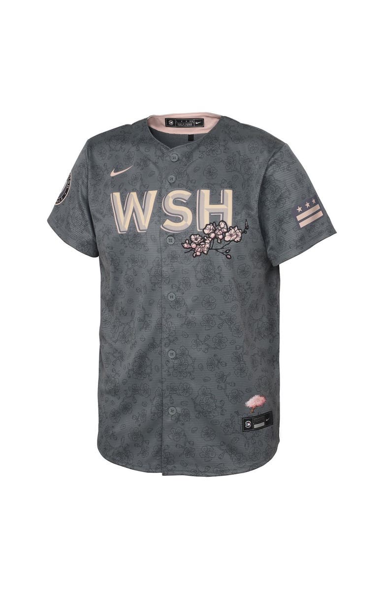 Nike Preschool Nike Gray Washington Nationals City Connect Replica Jersey, Alternate, color,