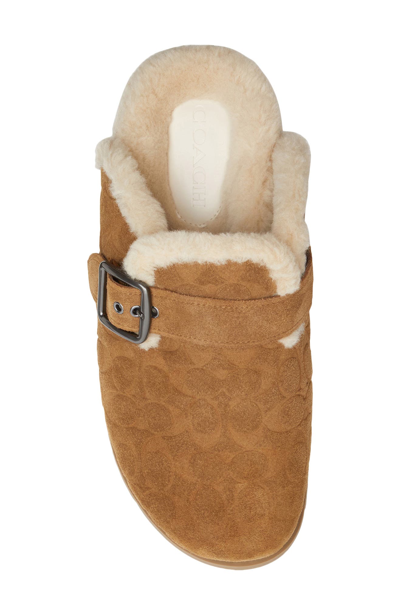COACH Signature Genuine Shearling Lined Buckle Mule, Alternate, color, Tobacco