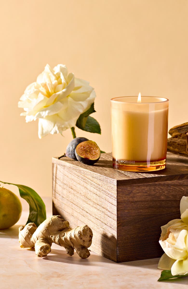 APOTHEKE Cedarwood Ginger Petite Scented Candle, Alternate, color,