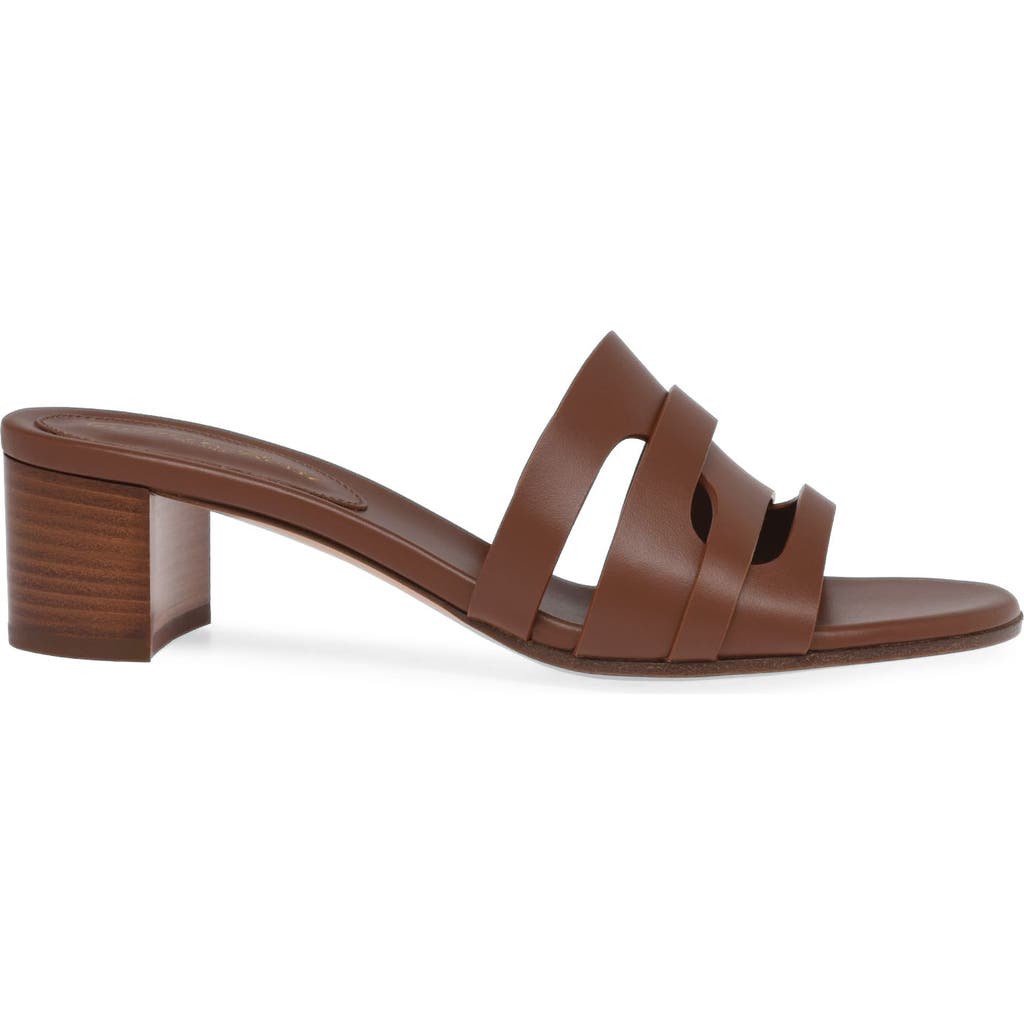 Gianvito Rossi Nora 45 Mules in Brown Calf at Nordstrom, Size 41.5