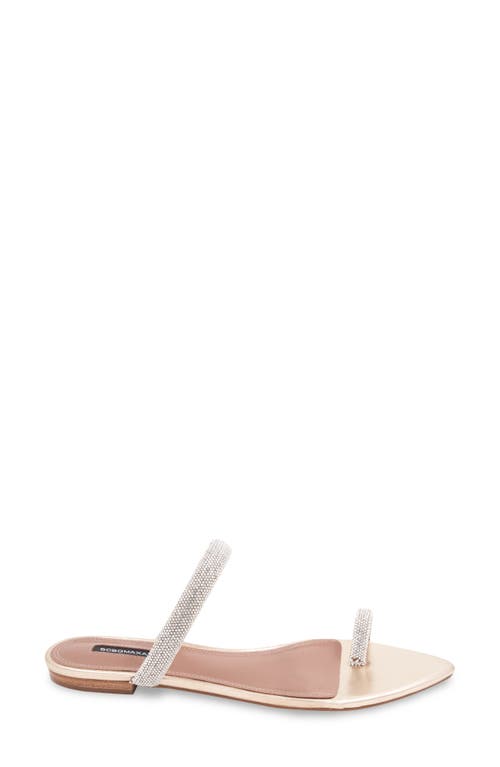 Bcbg Pinot Pointed Toe Slide Sandal In Platino