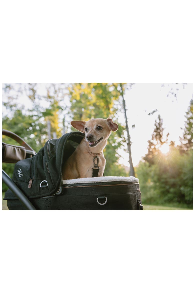 Maeve™ Small Flex Pet Car Seat, Alternate, color, BRINDLE