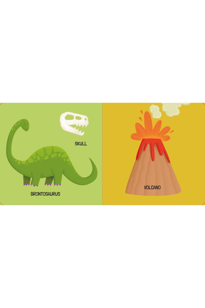Q Box The Dinosaurs Read Play Learn Jurassic 40 Piece Set, Alternate, color, Multicolored