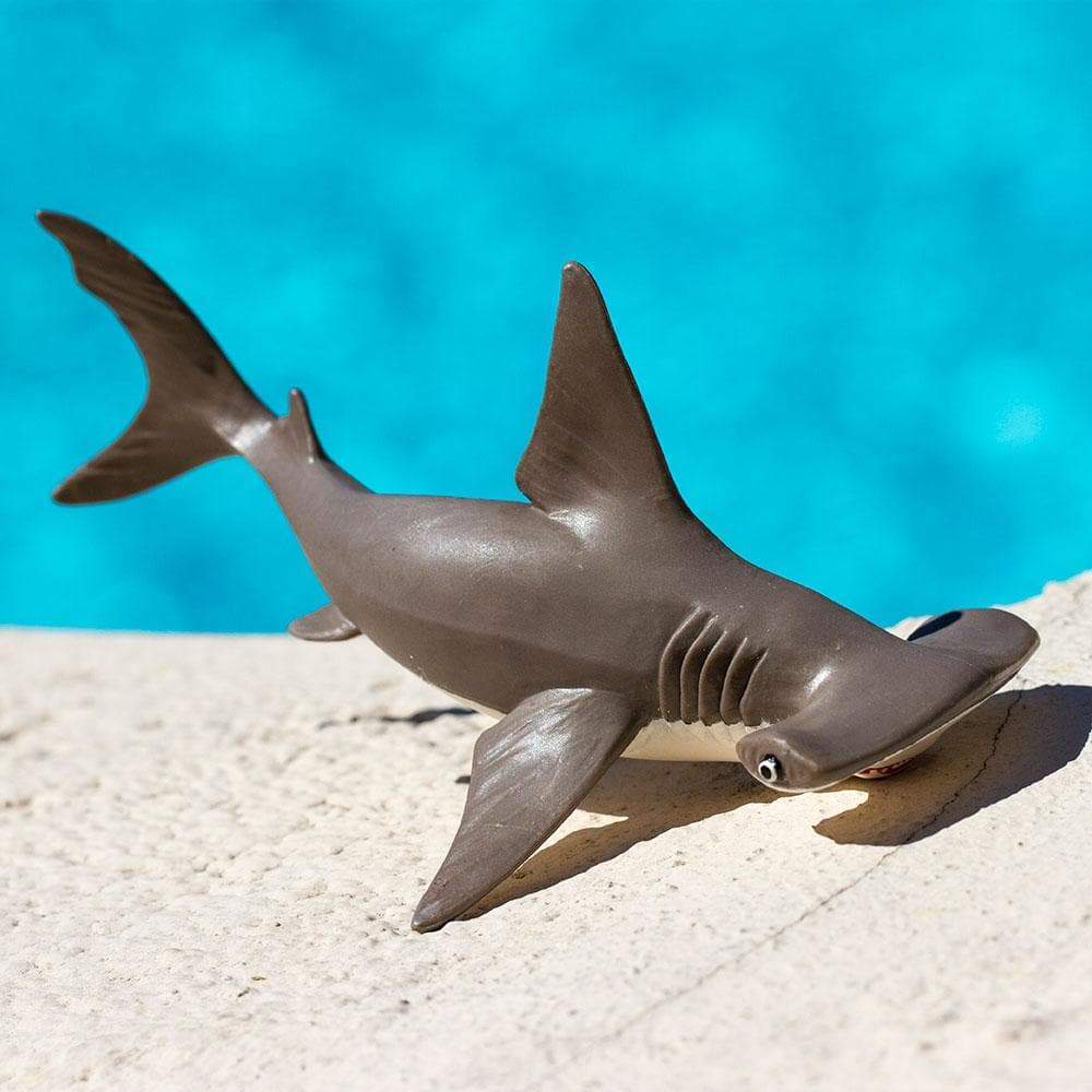 Safari Ltd. Hammerhead Shark Baby Toy | Nordstrom