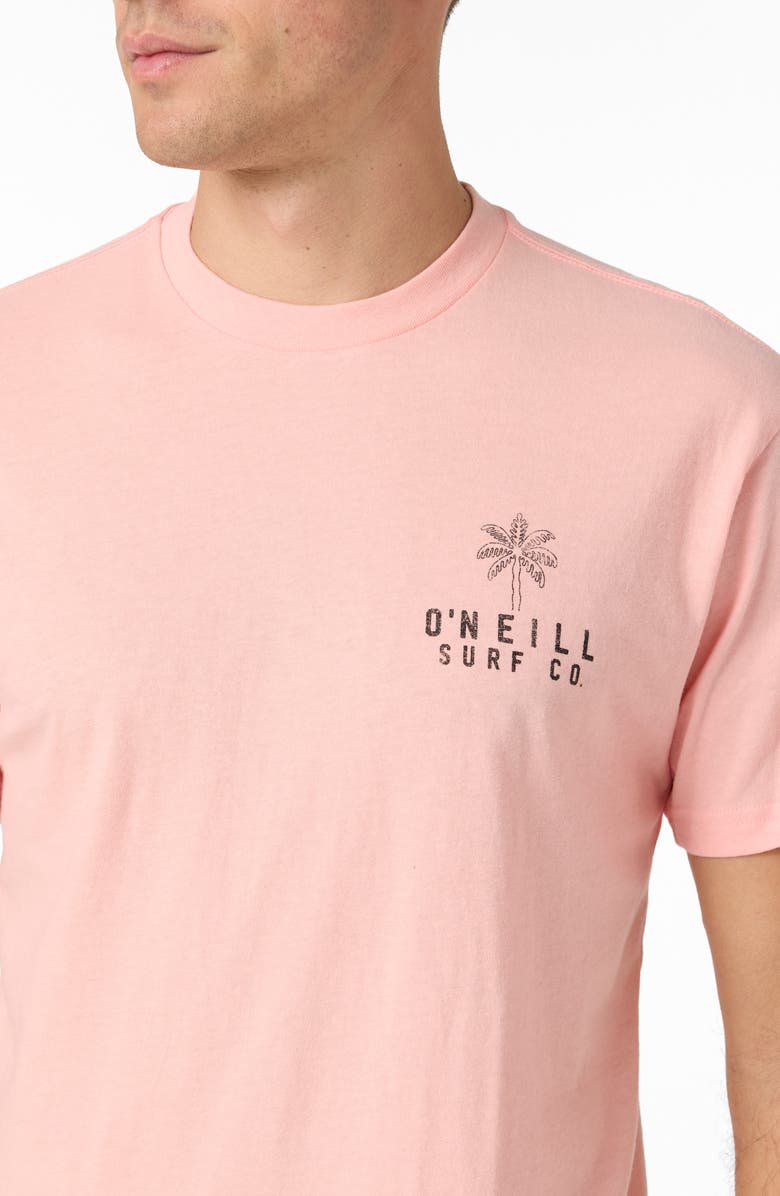 O'Neill Puzzle Piece Graphic T-Shirt, Alternate, color, 