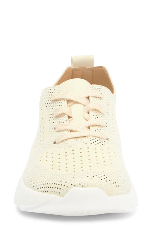 Ilse Jacobsen Tulip Sneaker In Milk Creme