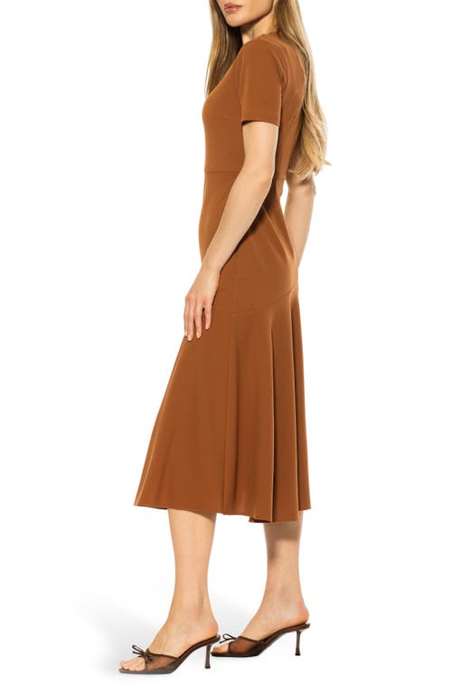 Alexia Admor Lennox Fit And Flare Dress In Brown