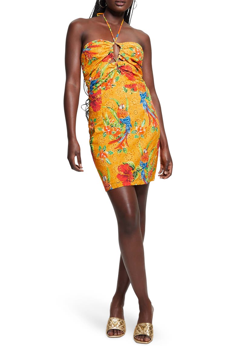 Tina Eyelet Halter Minidress, Main, color, PARROT PARADISE PRINT