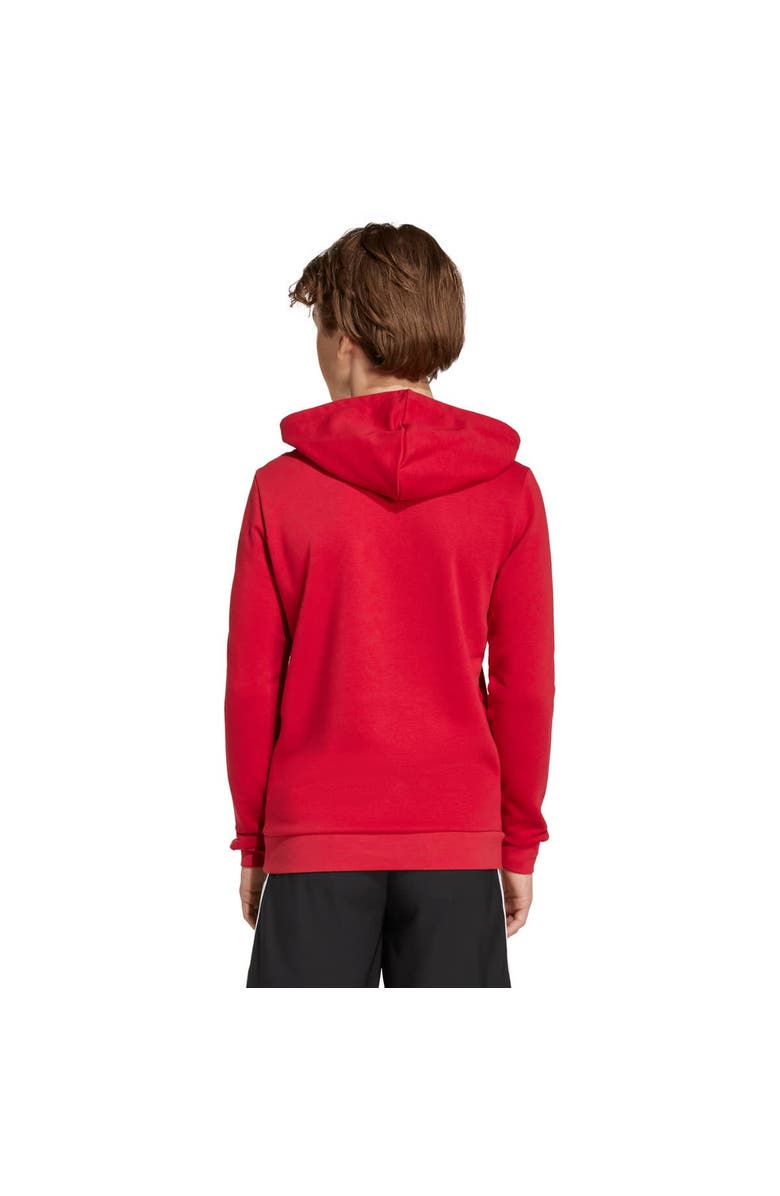 adidas Youth adidas Red Liverpool DNA Hoodie, Alternate, color, Red