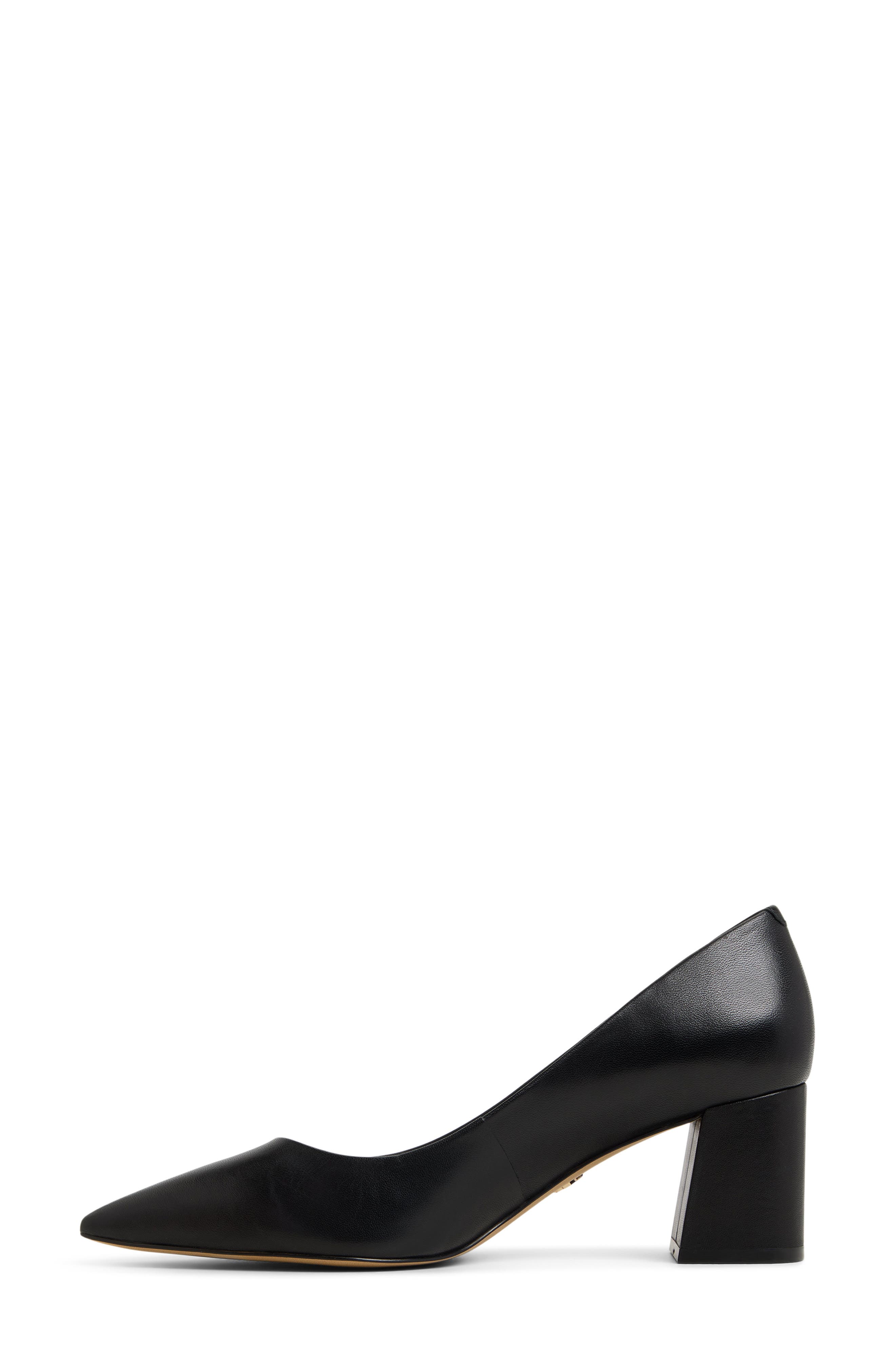 ALDO Ybalelin Pointed Toe Pump, Alternate, color, Black
