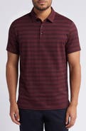 Robert Barakett Fraser Stripe Polo