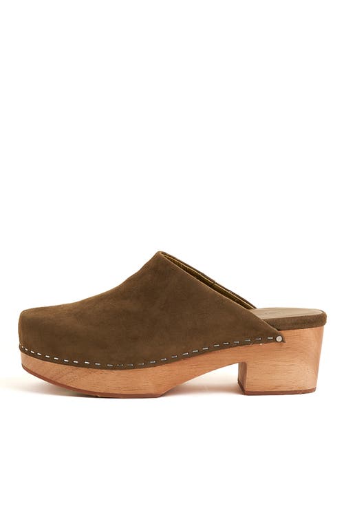 Charlotte Stone Martino Platform Clog In Green