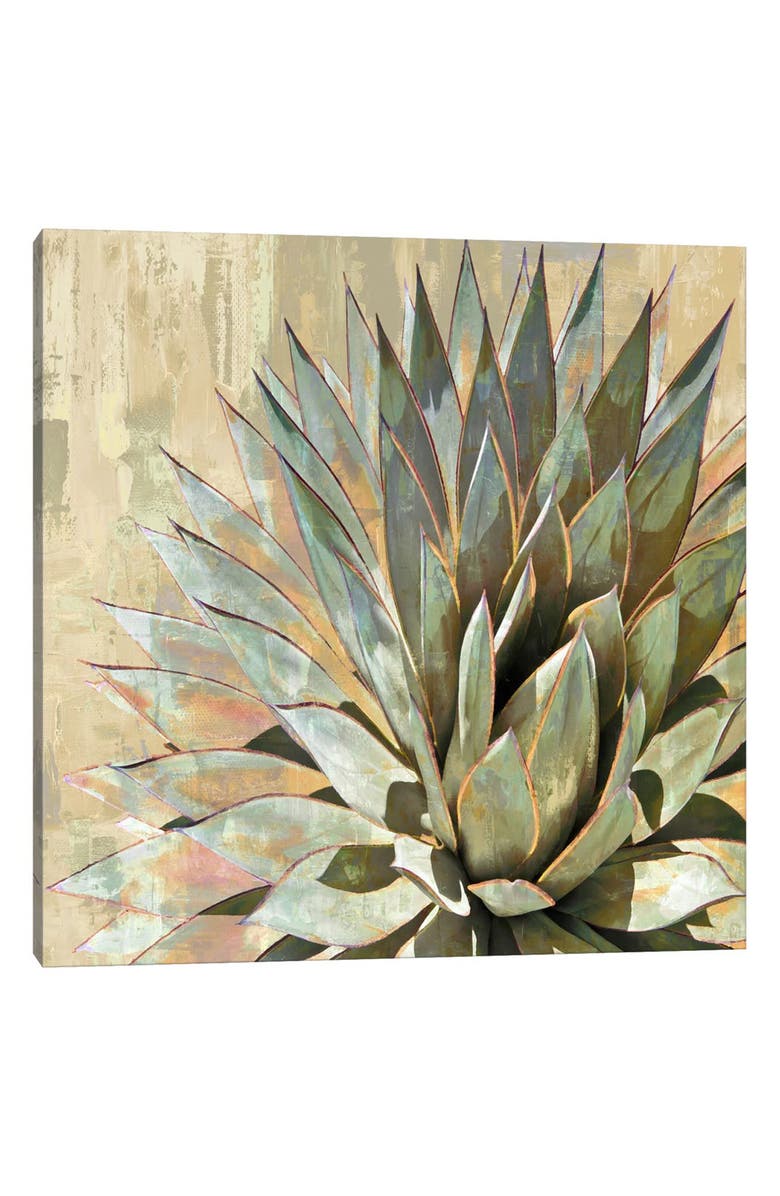 iCanvas Succulent I by Lindsay Benson Canvas Wall Art, Main, color, Green Flora