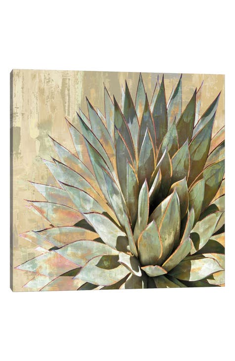 Succulent I by Lindsay Benson Canvas Wall Art