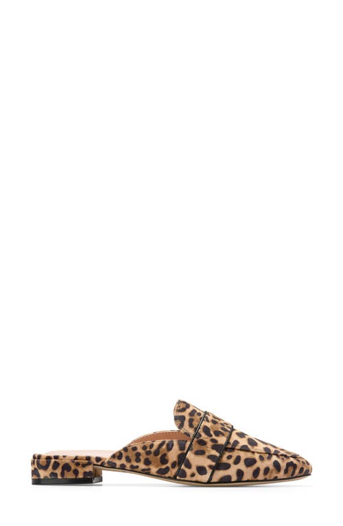 Cole Haan Pasha Embossed Mule In Leopard Print Suede