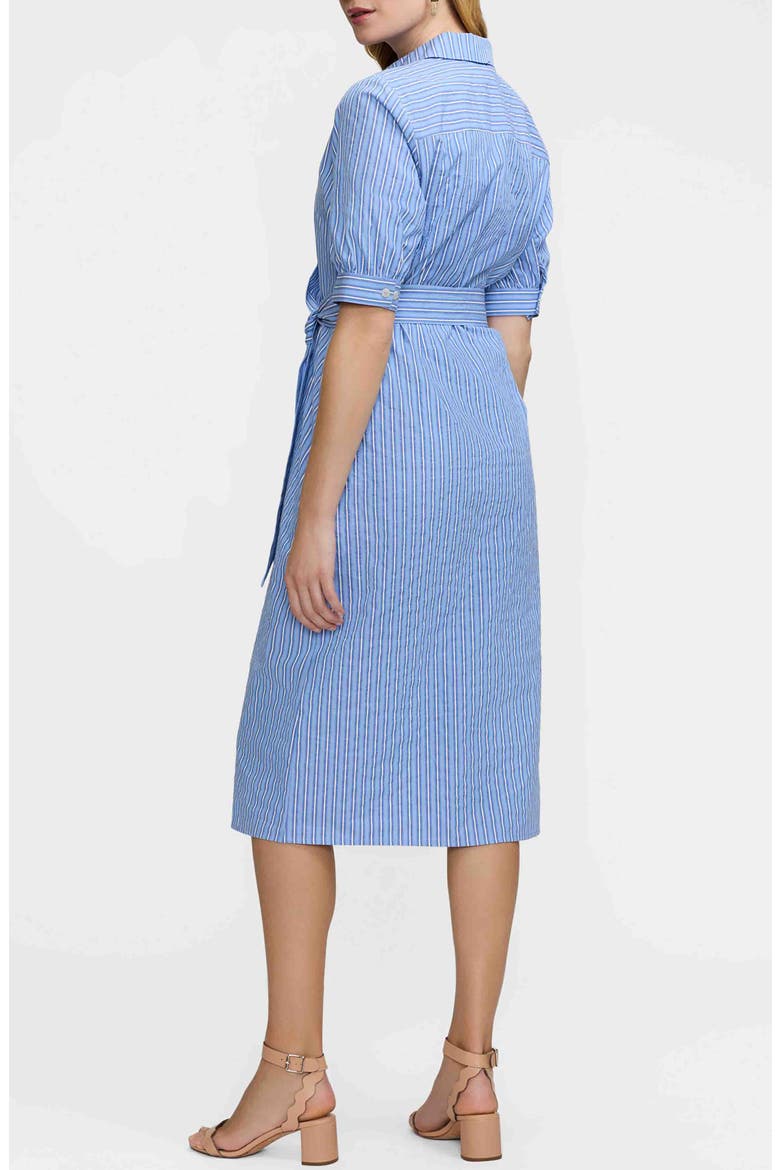Esther Belted Stripe Cotton Shirtdress, Alternate, color, BLUE/ MULTI