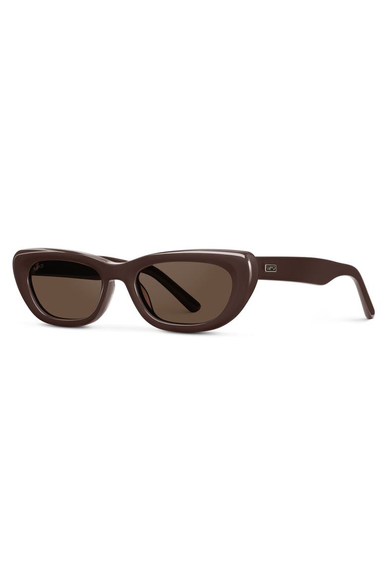 Quinn - 52mm Classic Cat-Eye Sunglasses, Alternate, color, Mocha Brown