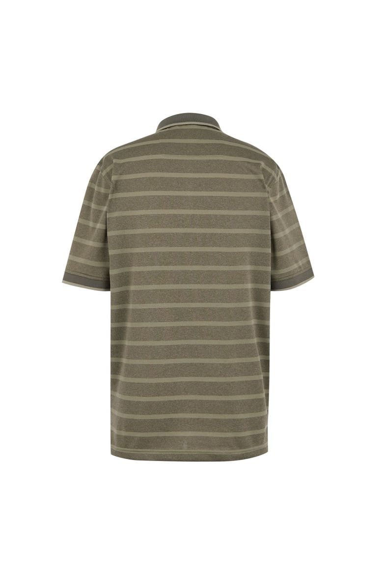 Kildra Polo Shirt, Alternate, color, Light Sage and Dark Khaki