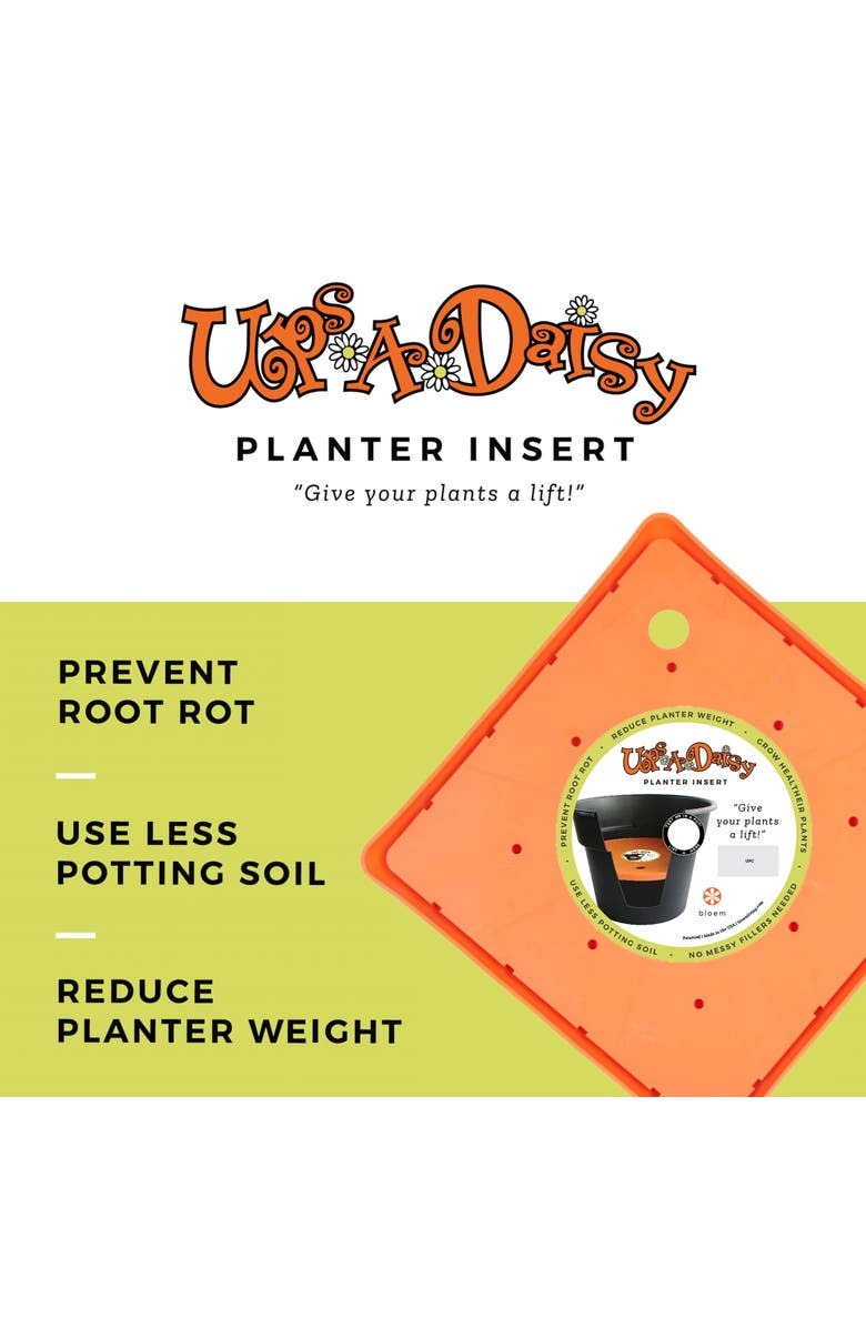 Bloem Ups A Daisy Square Planter Insert 10.75 Inch x 0.75 Inch, Alternate, color, Orange