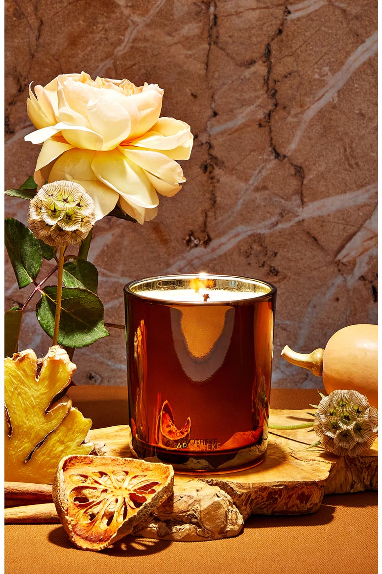 Pumpkin Ginger Scented Candle and Reed Diffuser Set, Alternate, color, NO COLOR