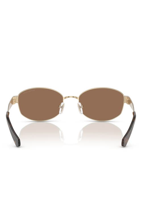 Michael Kors 56mm Oval Sunglasses In Brown/gold
