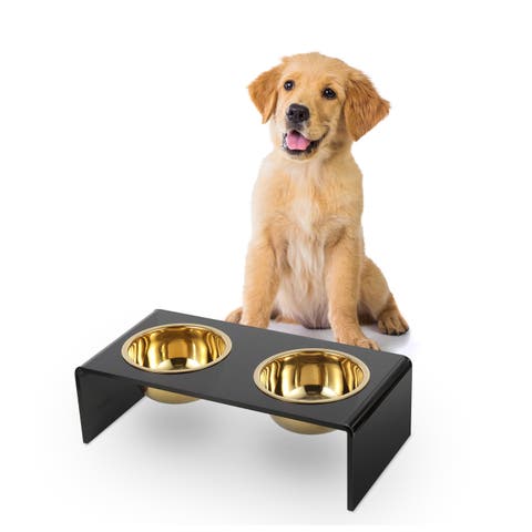 Keaton Modern Lucite Rectangular Elevated Pet Feeder with 2-Stainless Steel Bowls