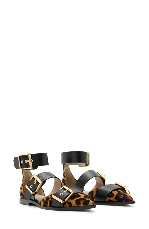 ALLSAINTS ALLSAINTS SUTTON ANKLE STRAP POINTED TOE FLAT