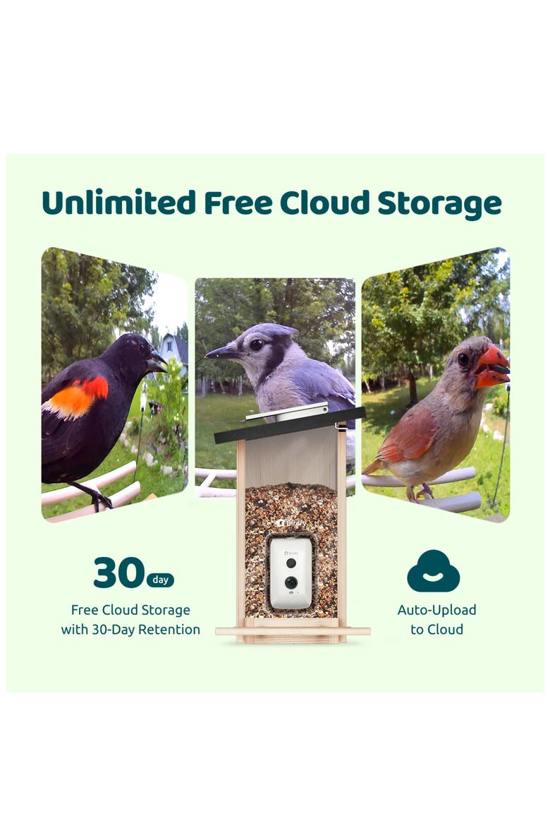 Ebony Lite Wooden Smart Bird Feeder, Alternate, color, BEIGE