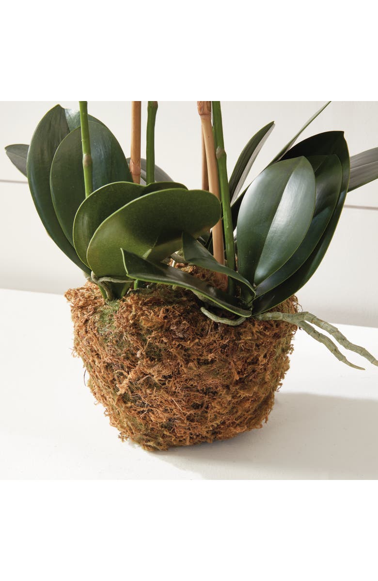 Napa Home & Garden Phalaenopsis Orchid Faux (Fake) Drop-In 30", Alternate, color, Pink