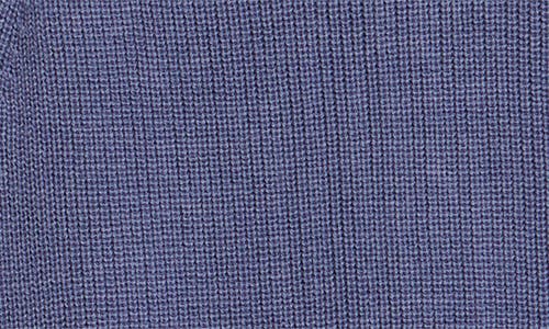 Eileen Fisher Raglan Sleeve Merino Wool Turtleneck Sweater In Blue