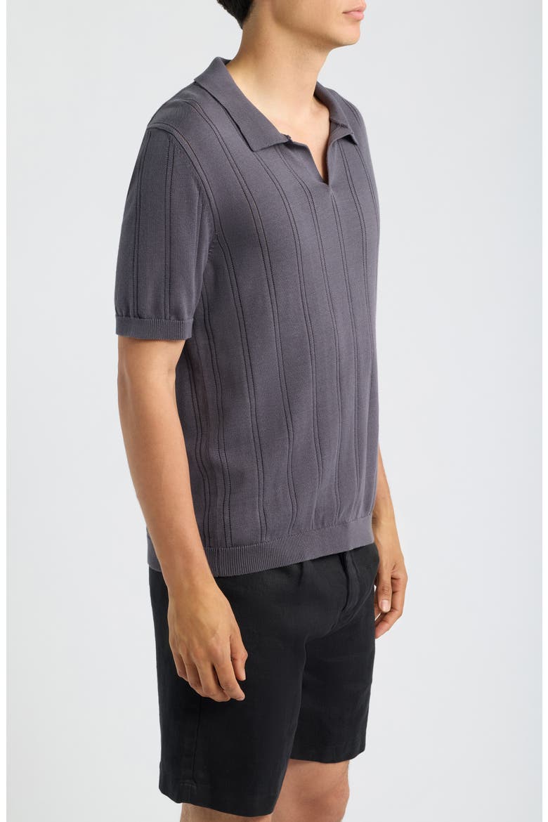 Lolo Drop Needle Sweater Polo, Alternate, color, ASH