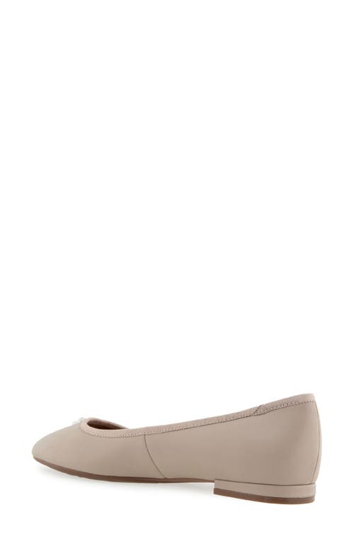 AEROSOLES AEROSOLES ARENA BALLET FLAT