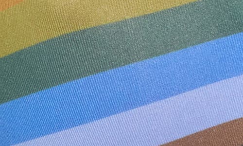 Vitamin A ® Sienna Scoop Neck Bikini Top In Rainbow Stripe