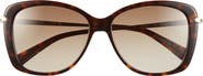 Longchamp Butterfly Gradient Sunglasses