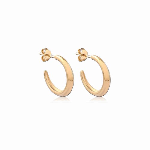 Astor & Orion Crescent Hoops In Gold