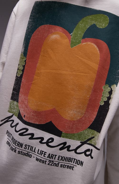 TOPSHOP TOPSHOP PIMIENTA LONG SLEEVE SKATER GRAPHIC T-SHIRT 