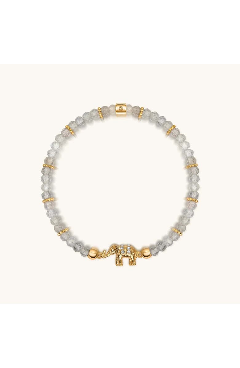 Karma and Luck Mind Nourisher - Labradorite Elephant Charm Bracelet, Main, color, Grey/Gold