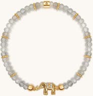 Karma and Luck Labradorite Elephant Charm Beaded Bracelet Mind Nourisher