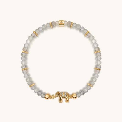 Karma And Luck Mind Nourisher In Grey/gold
