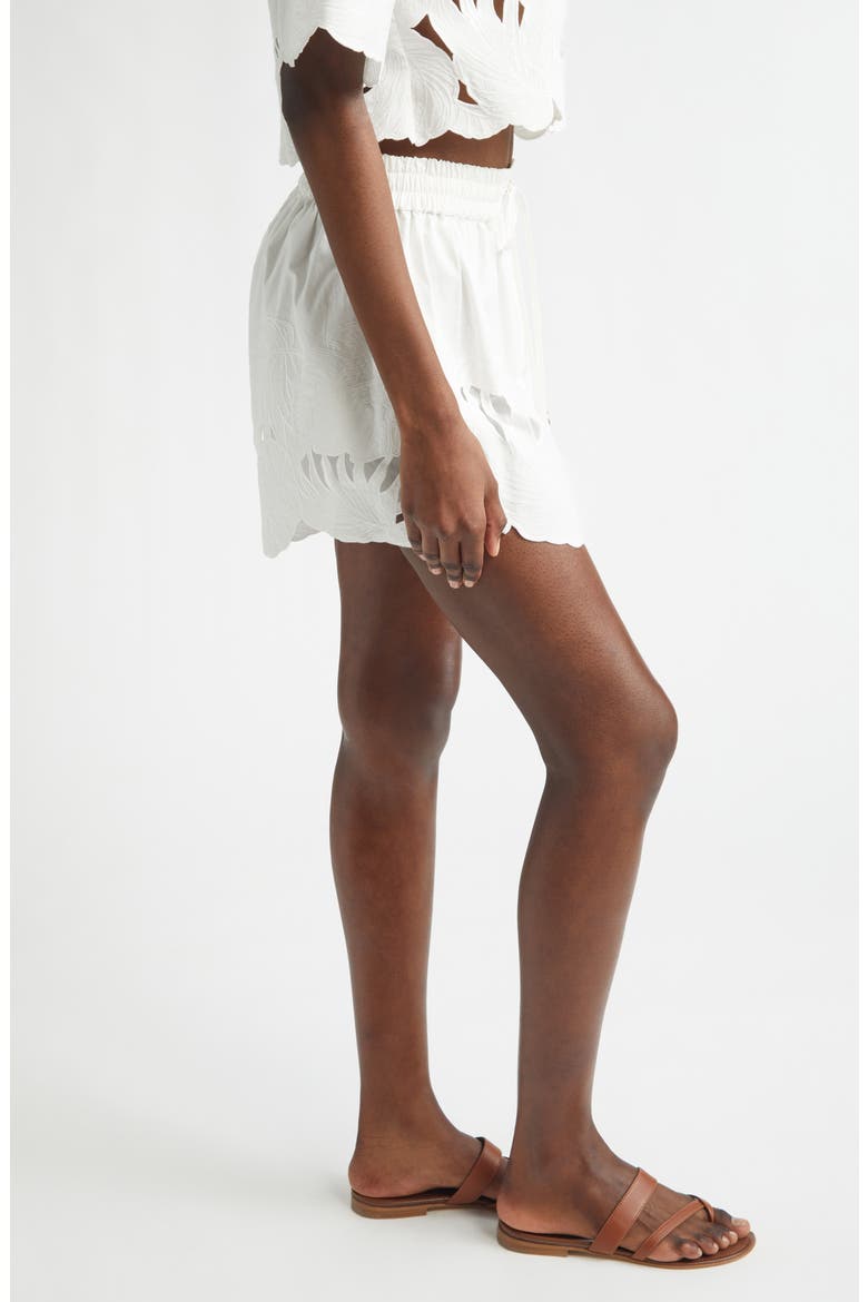 Mahon Embroidered Cotton Shorts, Alternate, color, IVORY